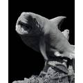 Great_White_Shark